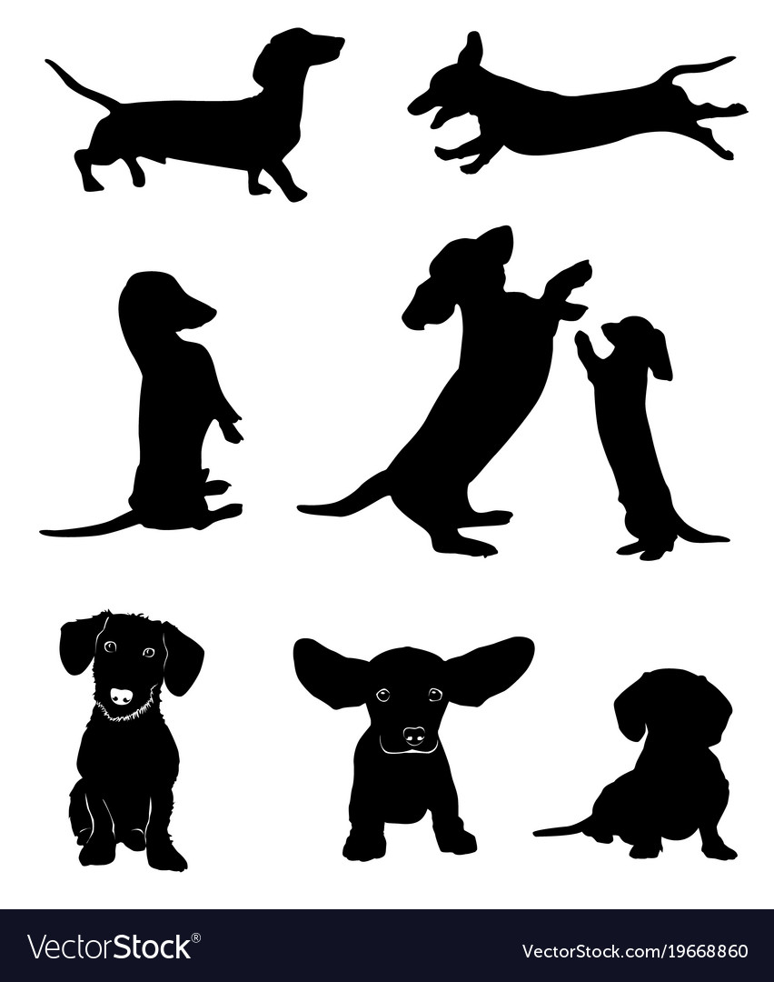 Detail Dachshund Silhouette Printable Nomer 5