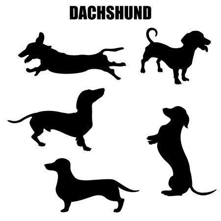 Detail Dachshund Silhouette Sitting Nomer 27