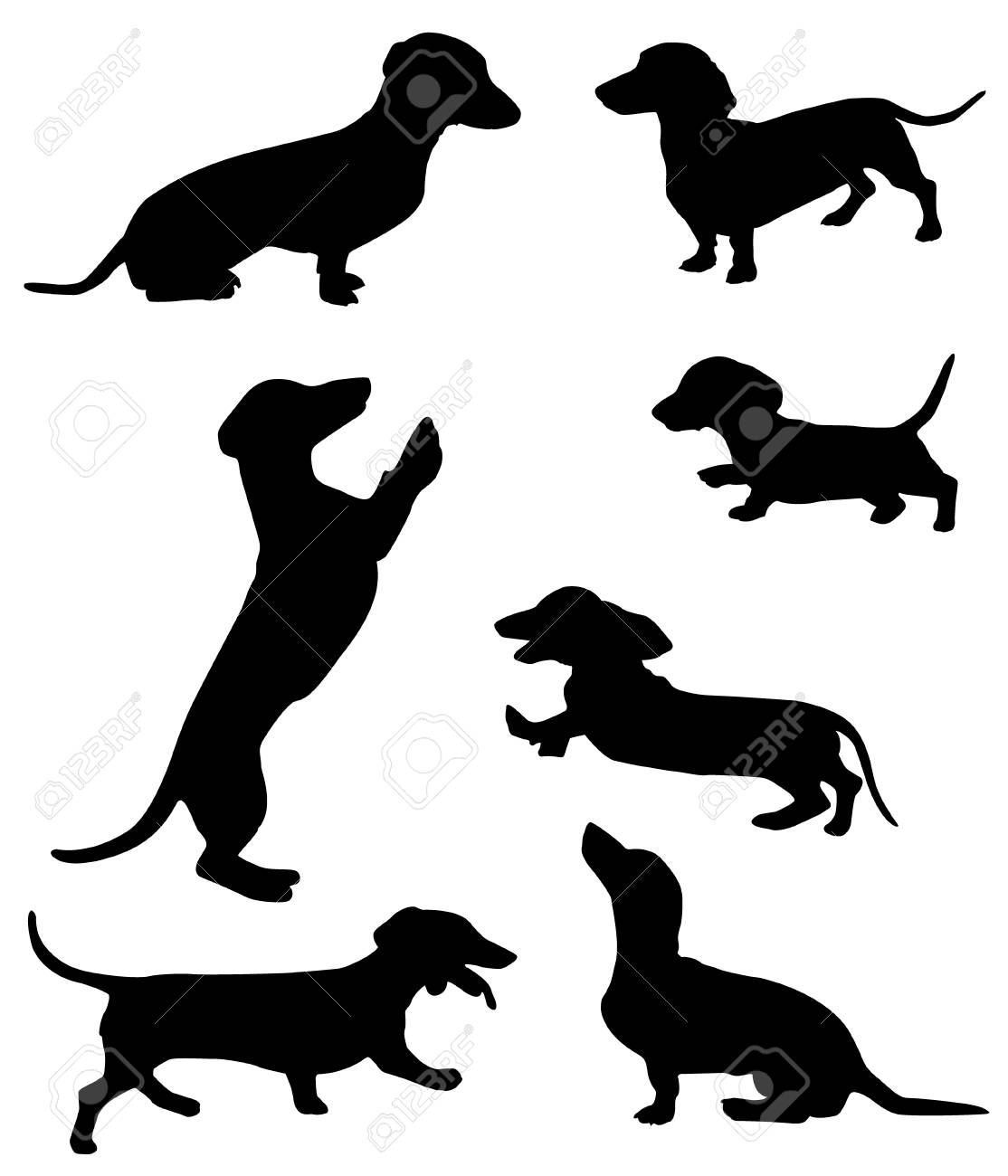 Detail Dachshund Silhouette Sitting Nomer 4