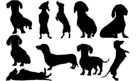 Detail Dachshund Silhouette Sitting Nomer 28