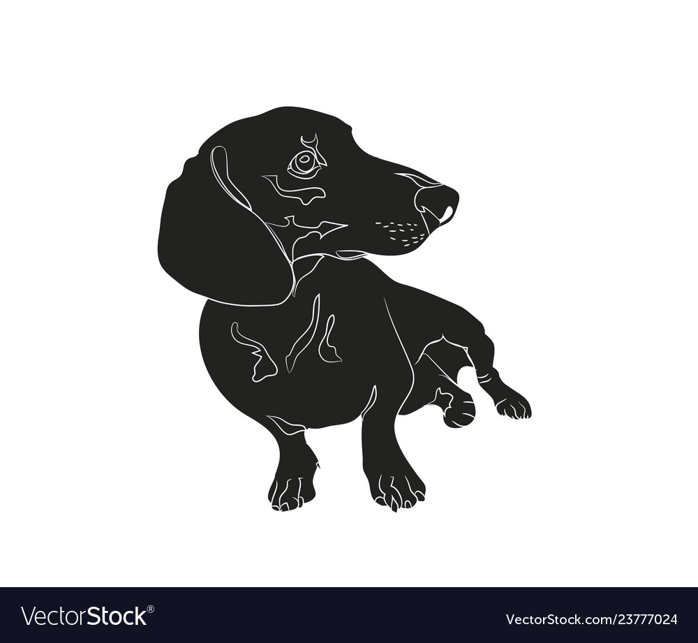 Detail Dachshund Silhouette Sitting Nomer 5