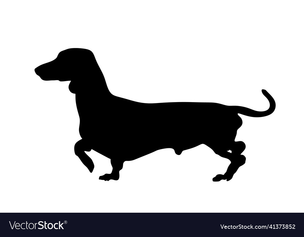 Detail Dachshund Silhouette Vector Nomer 20