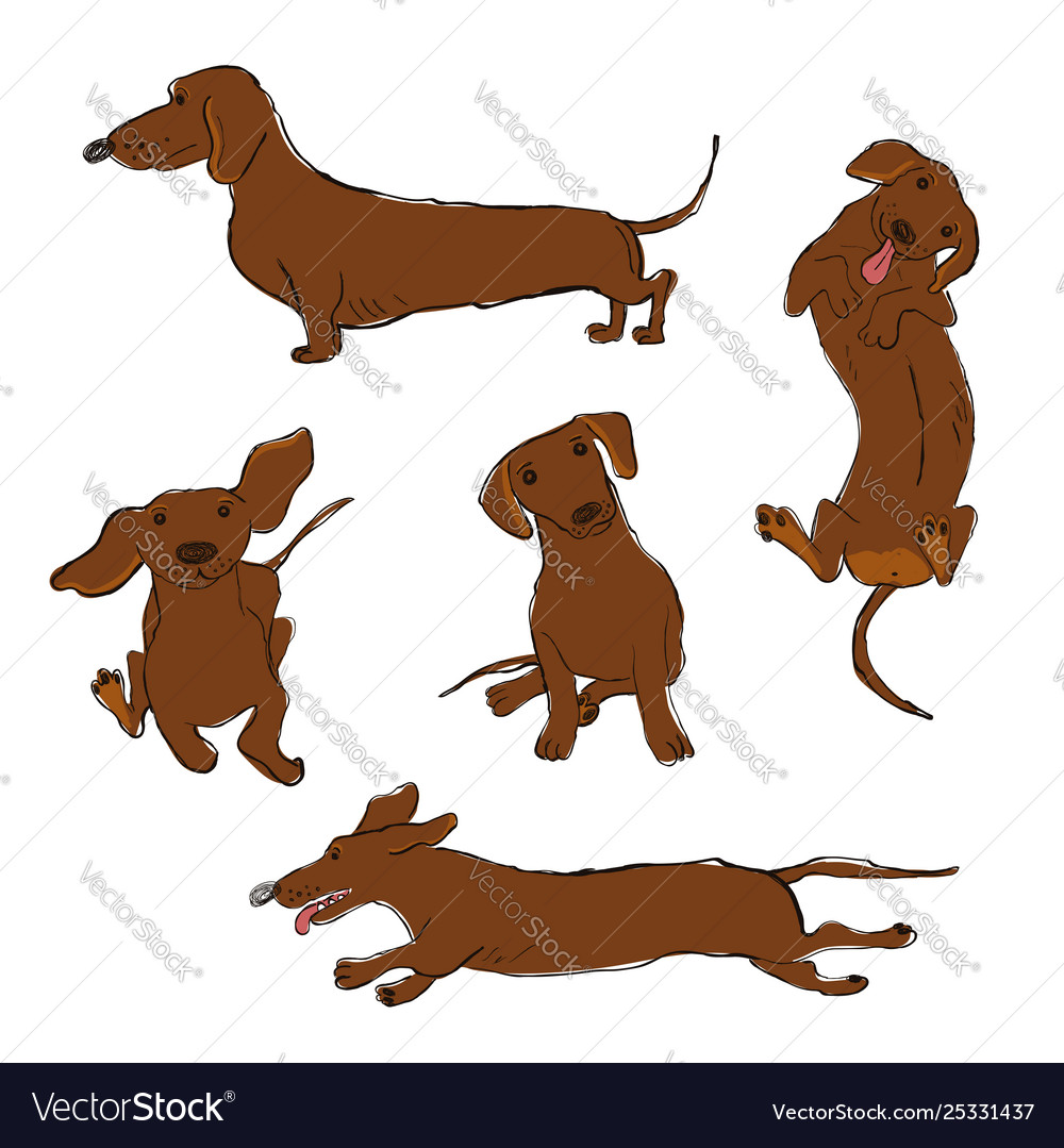 Detail Dachshund Silhouette Vector Nomer 39