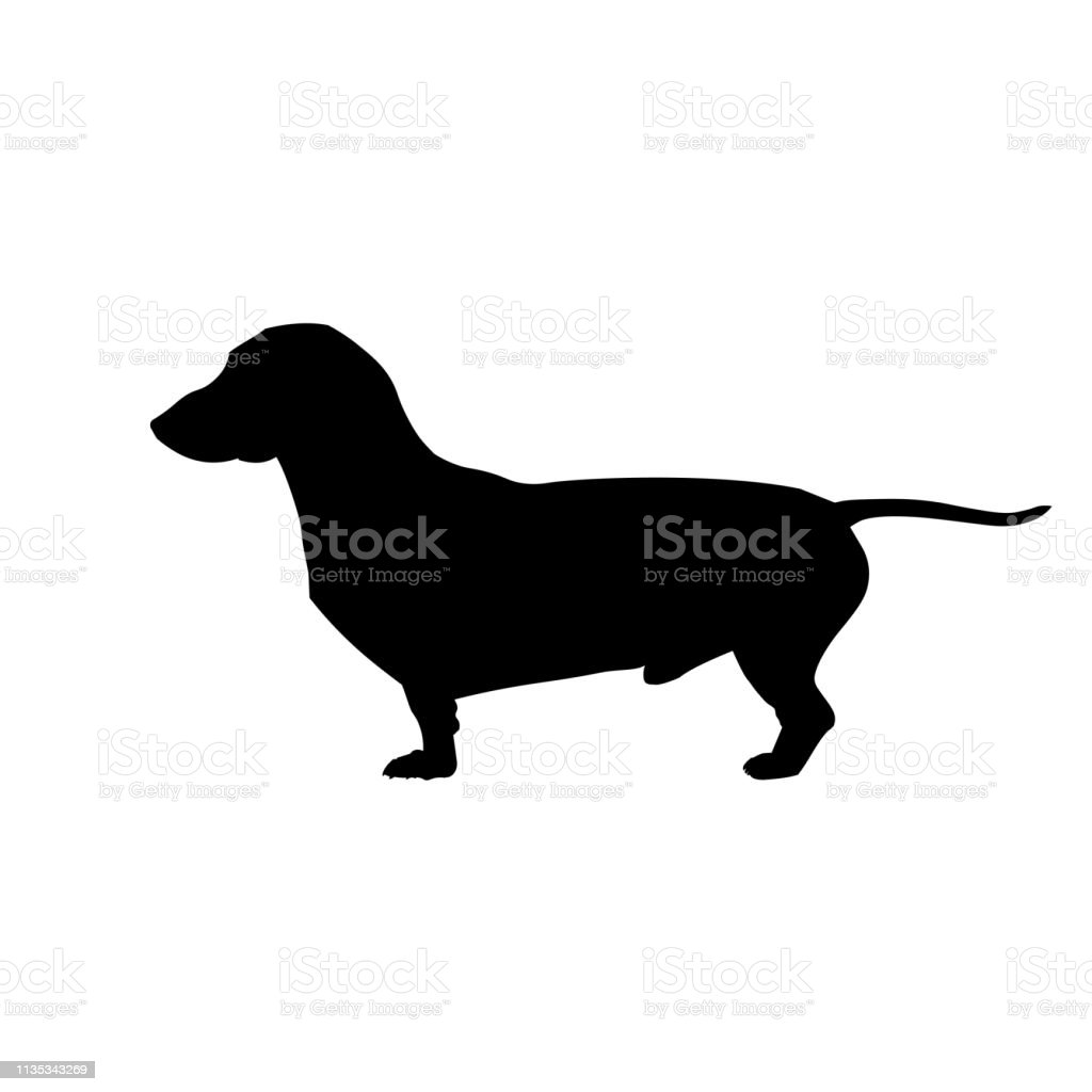 Detail Dachshund Silhouettes Nomer 41