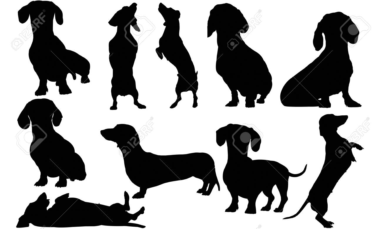 Detail Dachshund Silhouettes Nomer 6