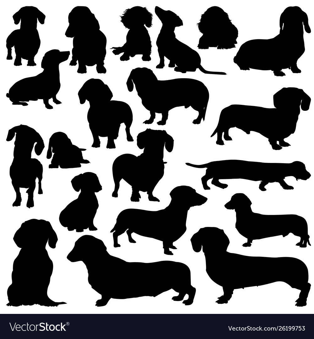 Detail Dachshund Silhouettes Nomer 8