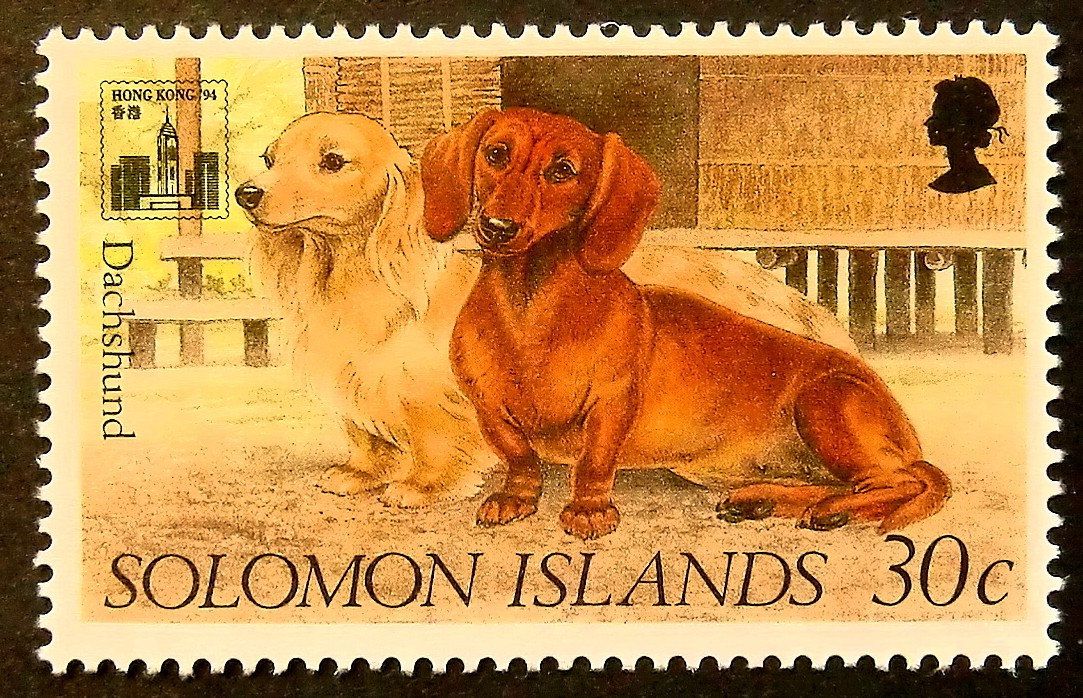 Detail Dachshund Stamps Nomer 7