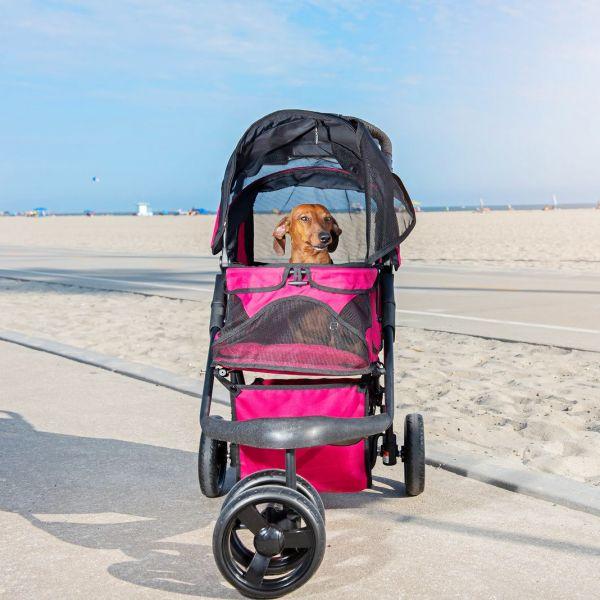 Detail Dachshund Strollers Nomer 49