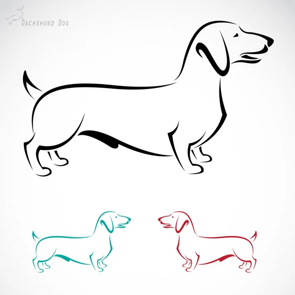 Detail Dachshund Vector Image Nomer 11