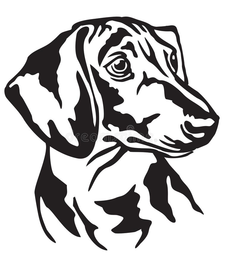 Detail Dachshund Vector Image Nomer 14