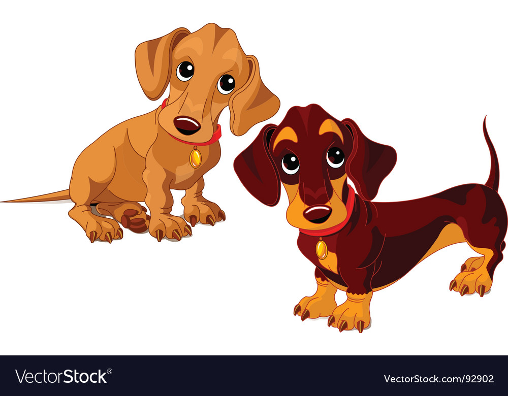 Detail Dachshund Vector Image Nomer 16