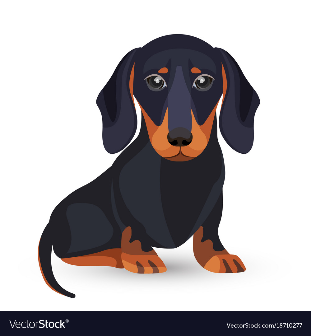 Detail Dachshund Vector Image Nomer 3