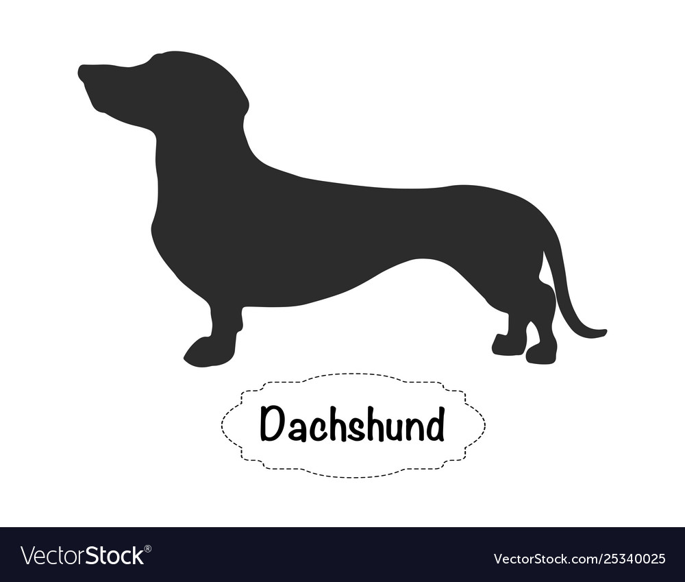 Detail Dachshund Vector Image Nomer 23