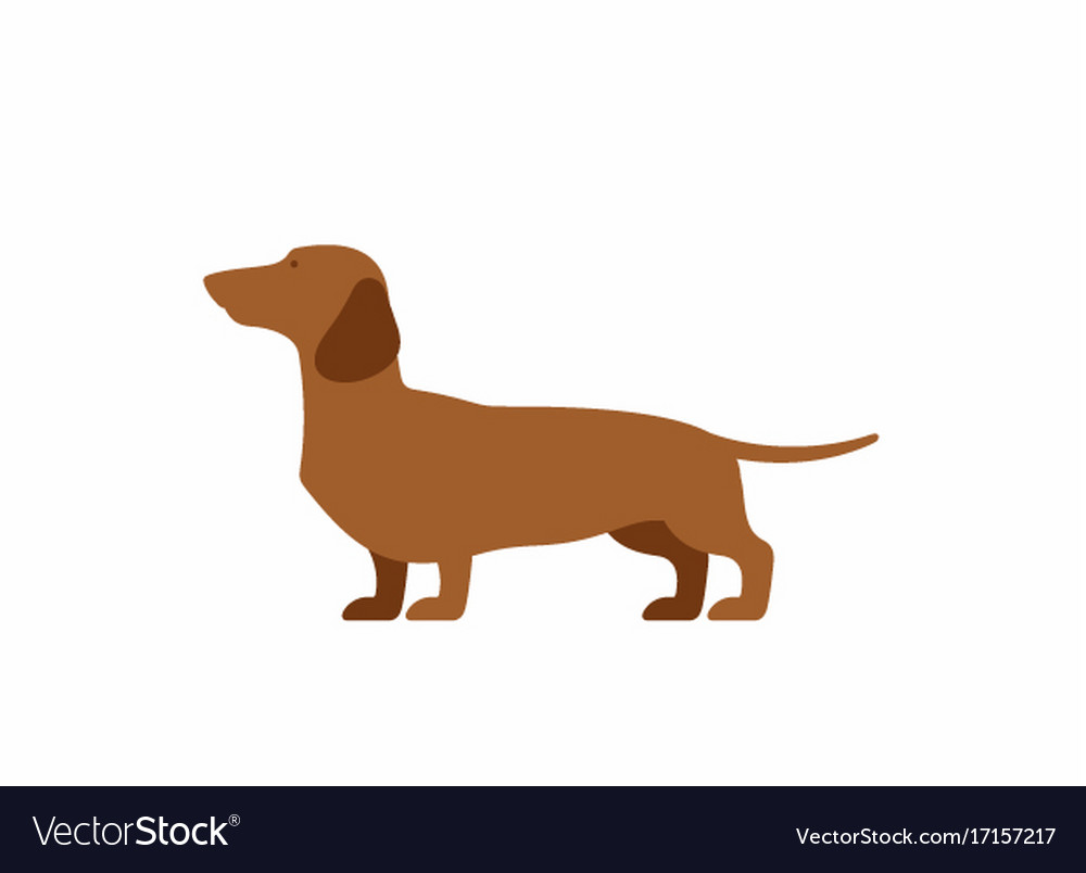 Detail Dachshund Vector Image Nomer 25