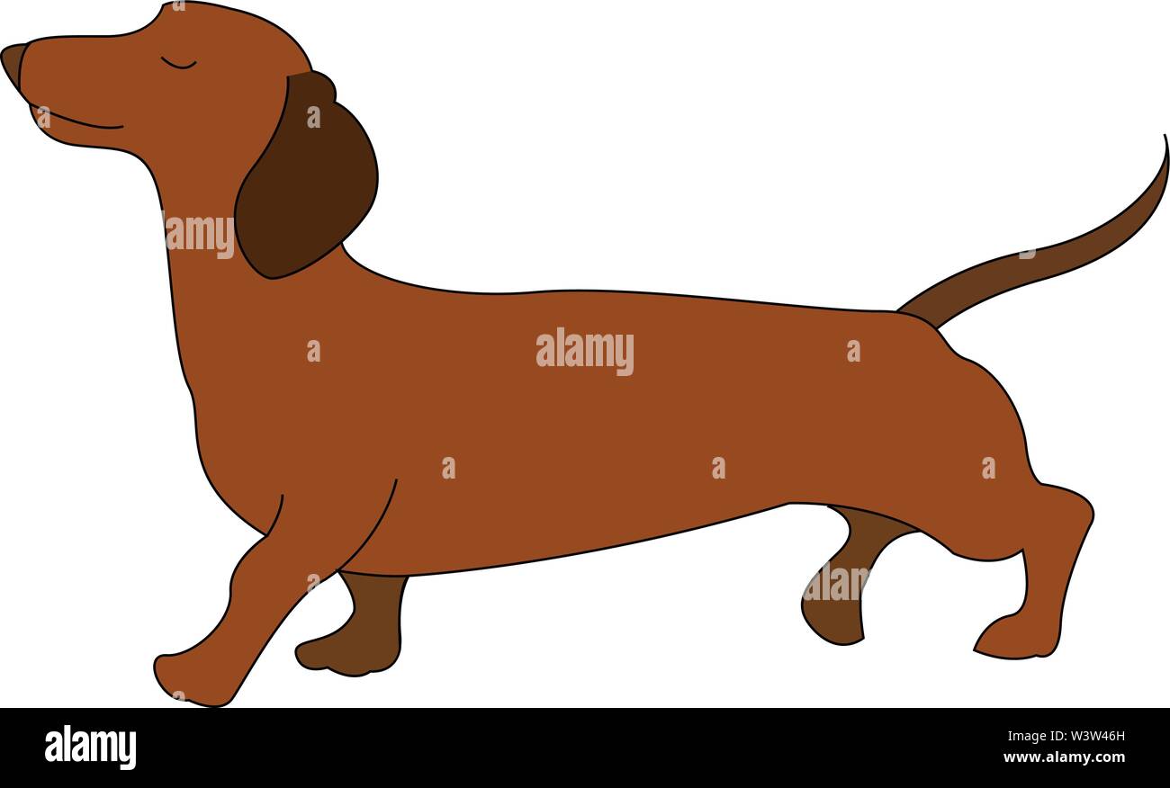 Detail Dachshund Vector Image Nomer 27