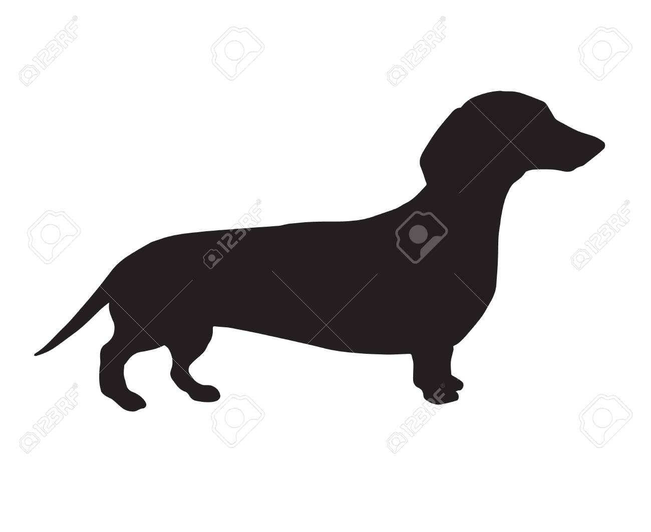 Detail Dachshund Vector Image Nomer 28