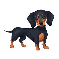 Detail Dachshund Vector Image Nomer 4