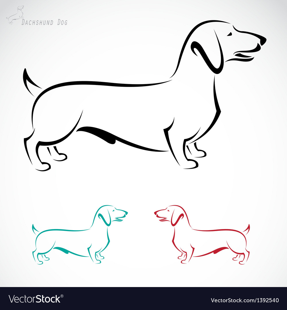 Detail Dachshund Vector Image Nomer 31