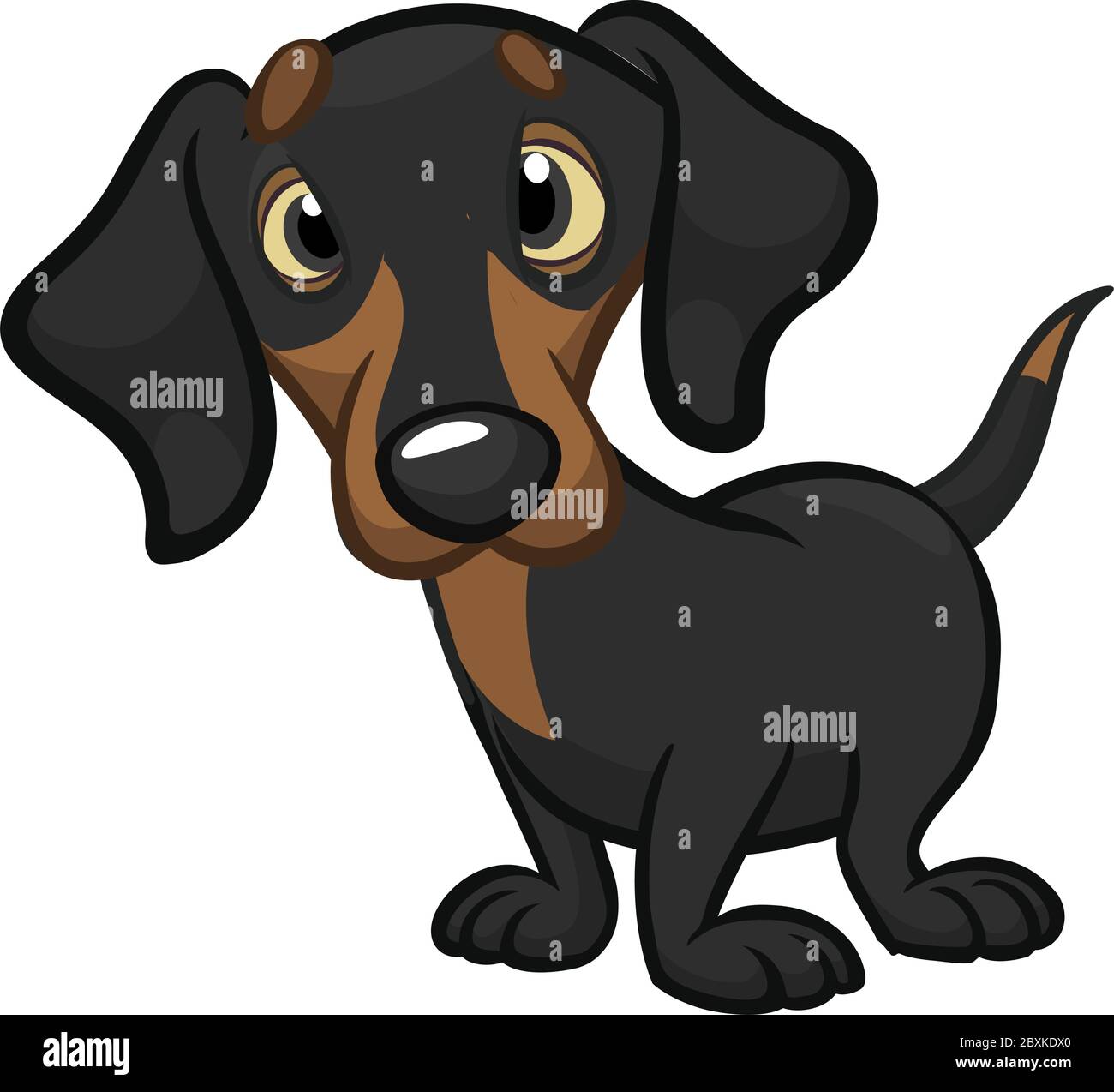 Detail Dachshund Vector Image Nomer 33