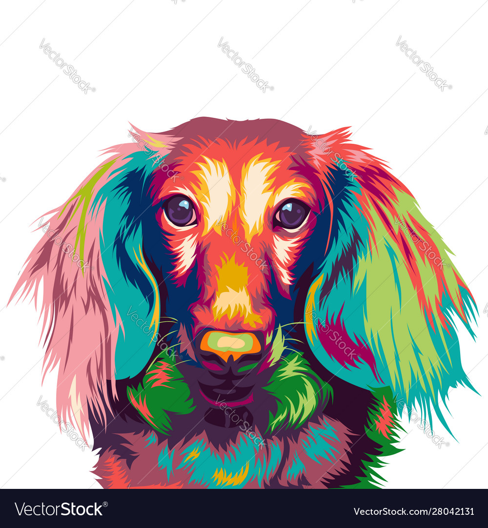 Detail Dachshund Vector Image Nomer 38