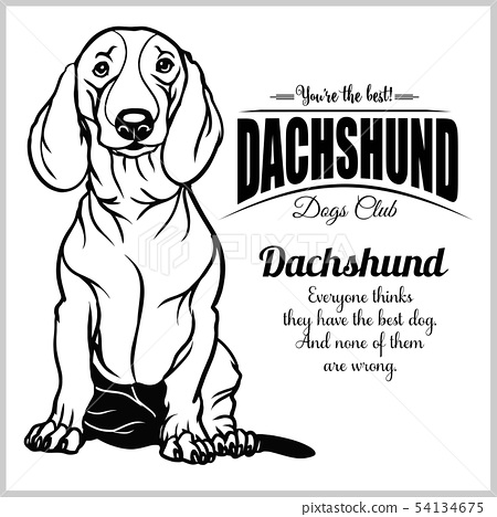 Detail Dachshund Vector Image Nomer 40