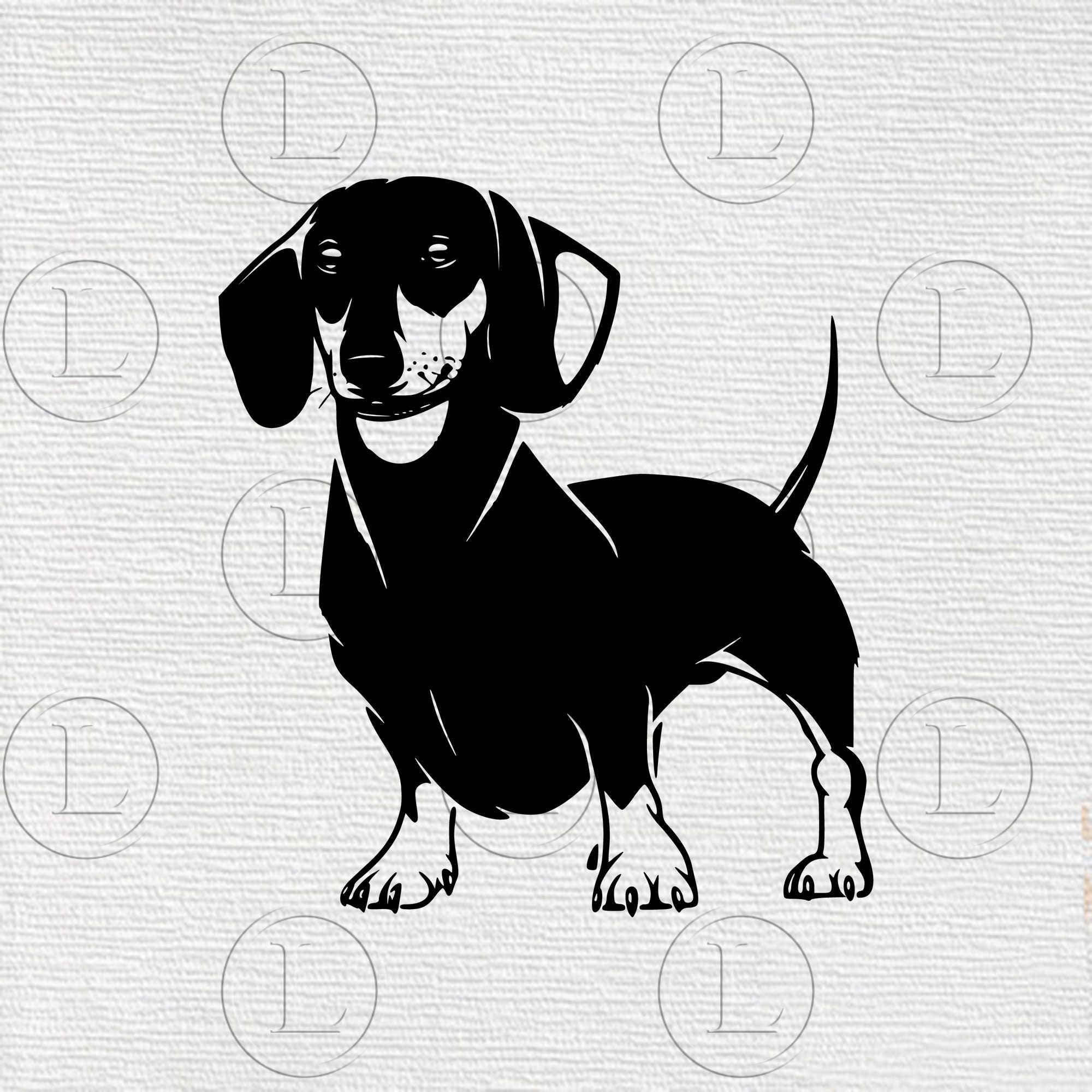 Detail Dachshund Vector Image Nomer 42