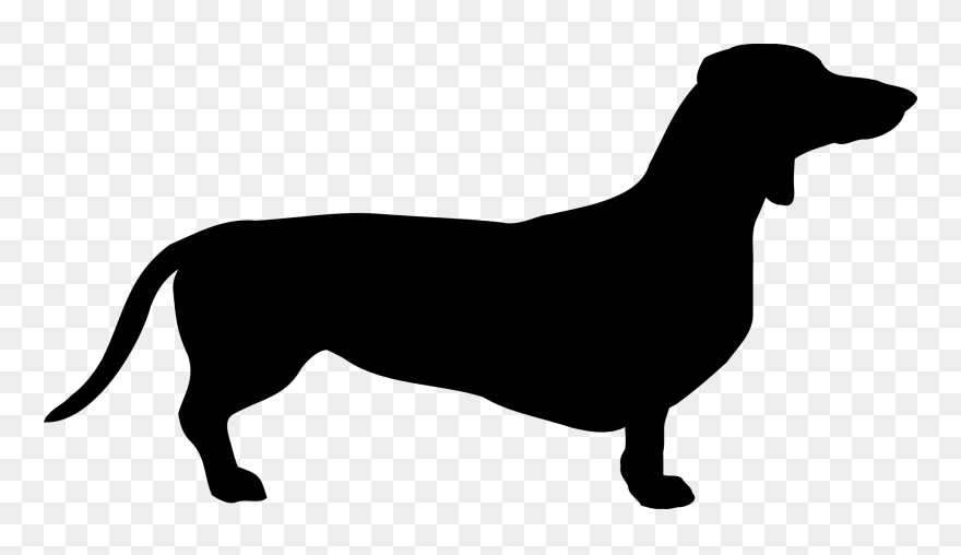 Detail Dachshund Vector Image Nomer 45