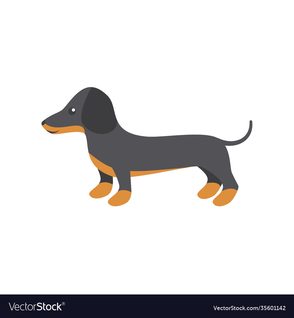 Detail Dachshund Vector Image Nomer 51