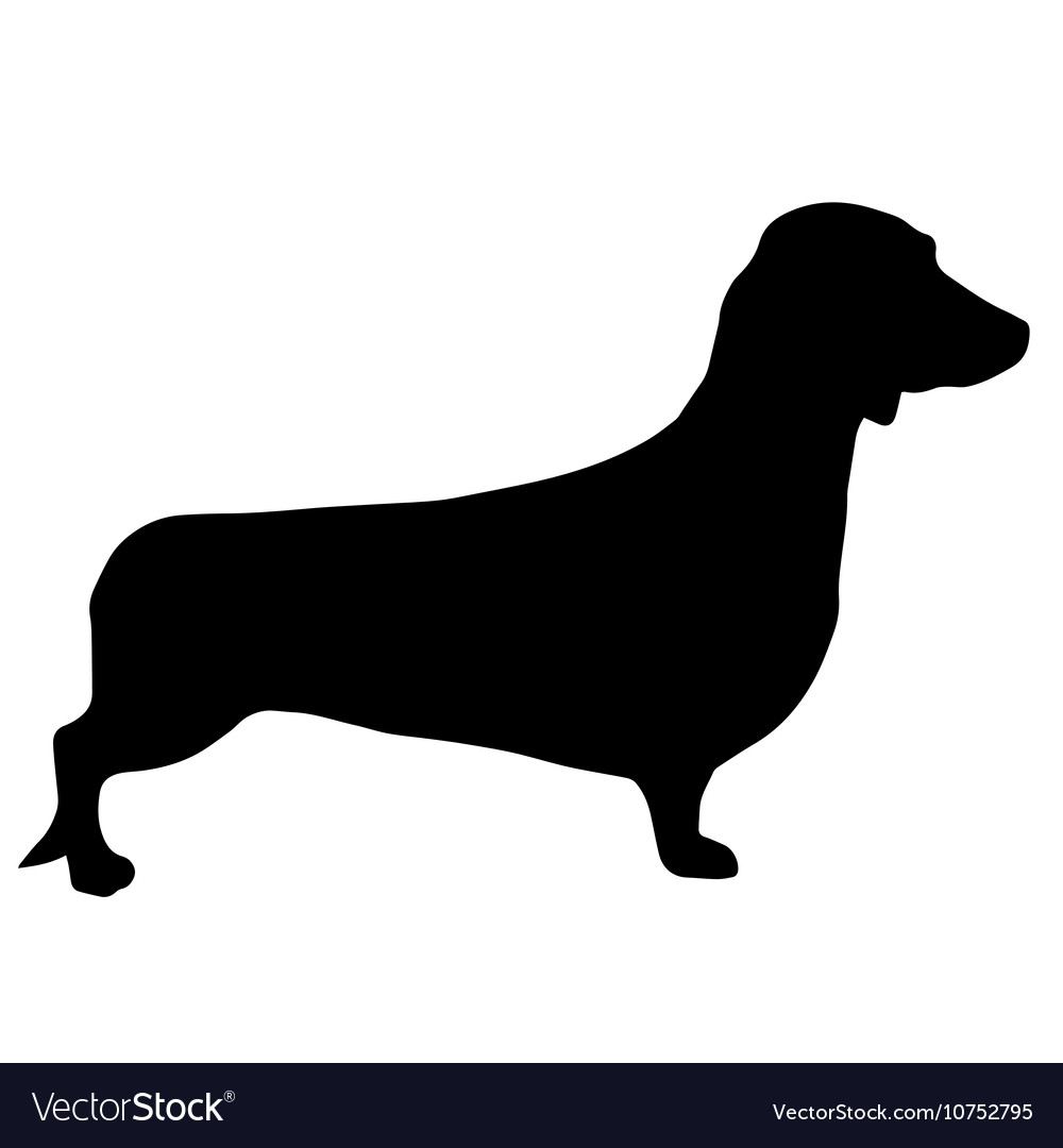 Detail Dachshund Vector Image Nomer 52