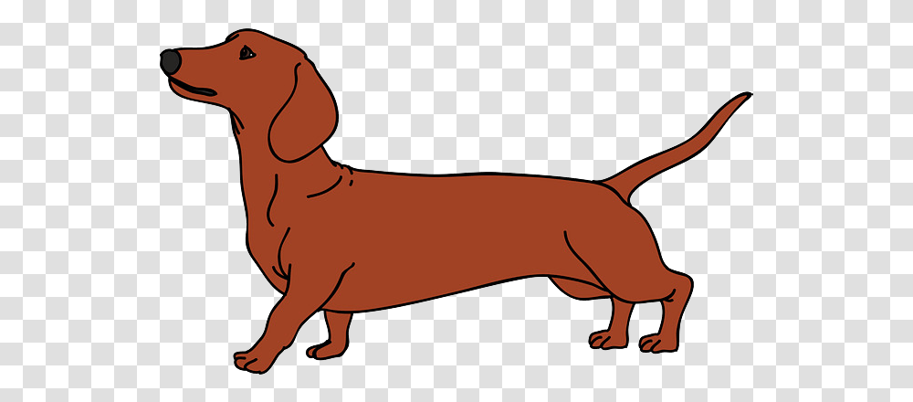 Detail Dachshund Vector Image Nomer 55