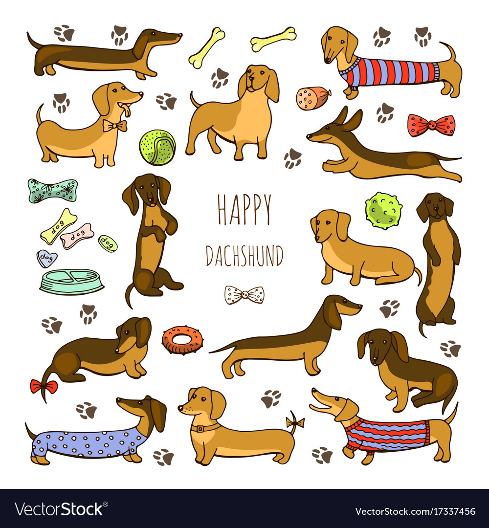 Detail Dachshund Vector Image Nomer 56