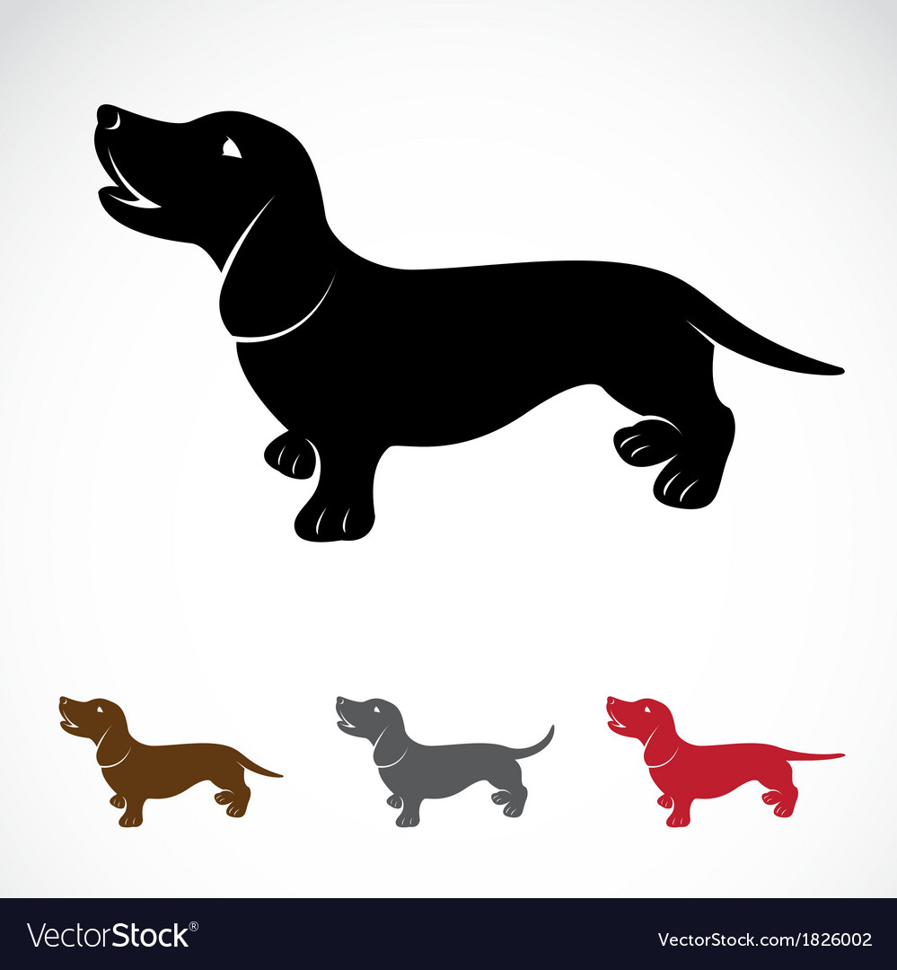 Detail Dachshund Vector Image Nomer 7