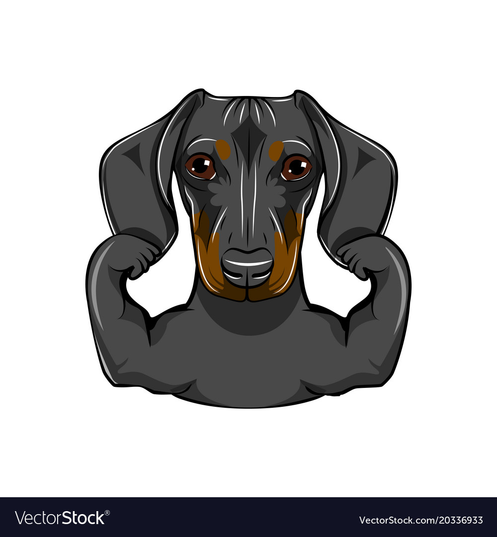 Detail Dachshund Vector Image Nomer 9