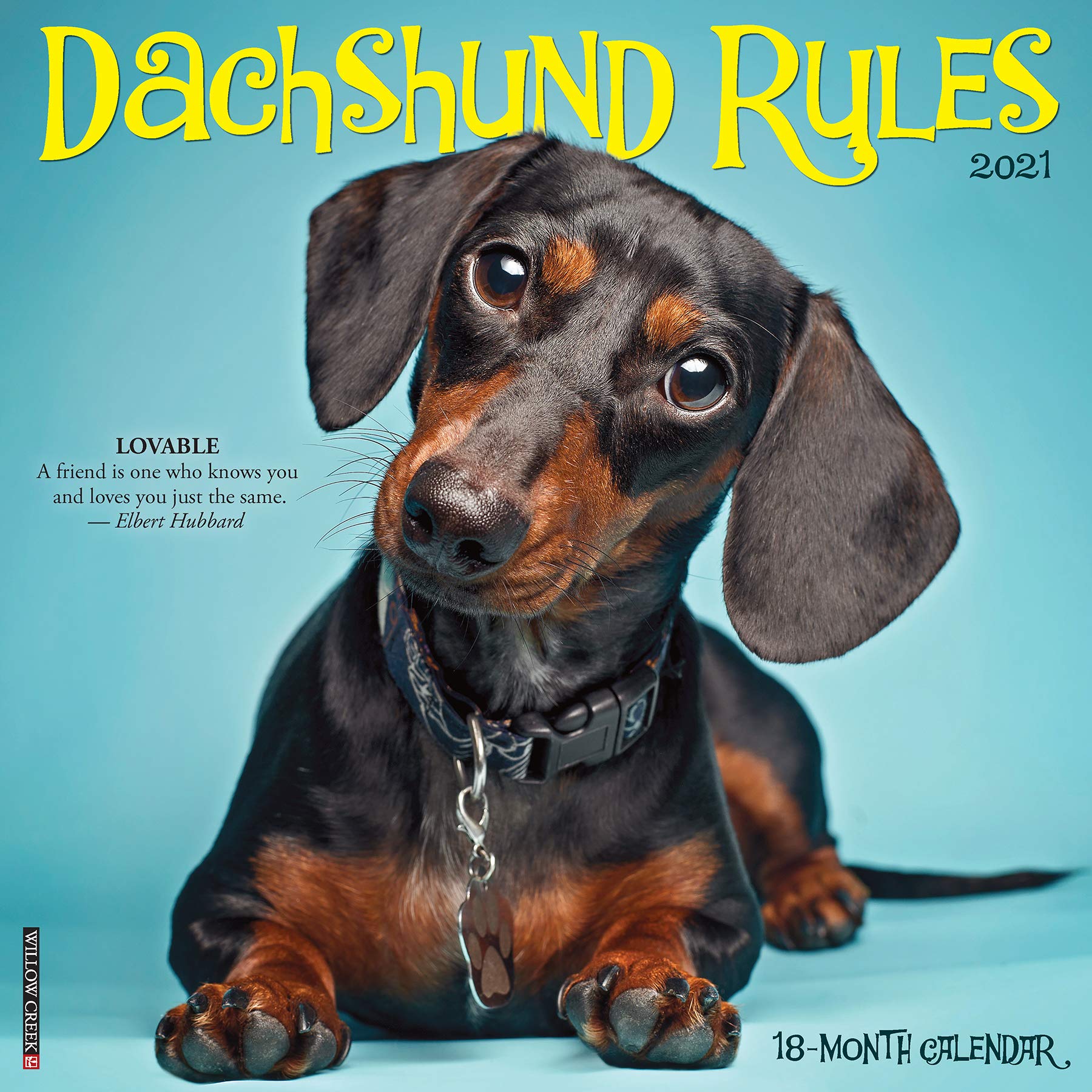 Download Dachshund Wall Calendar 2021 Nomer 1