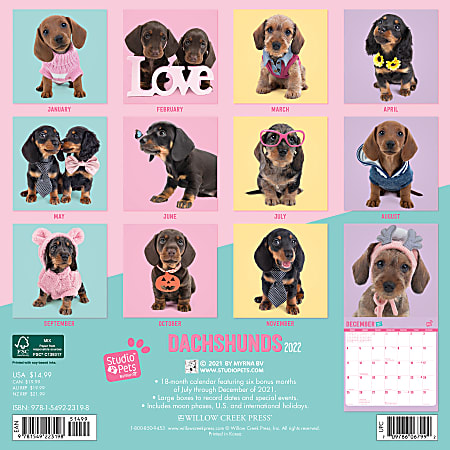 Detail Dachshund Wall Calendar 2021 Nomer 60