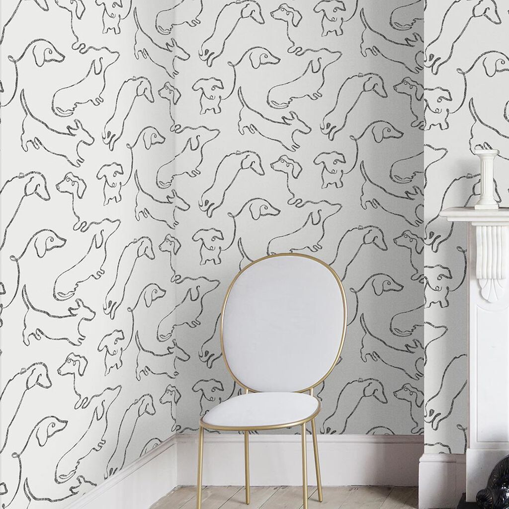 Detail Dachshund Wallpaper For Walls Nomer 50