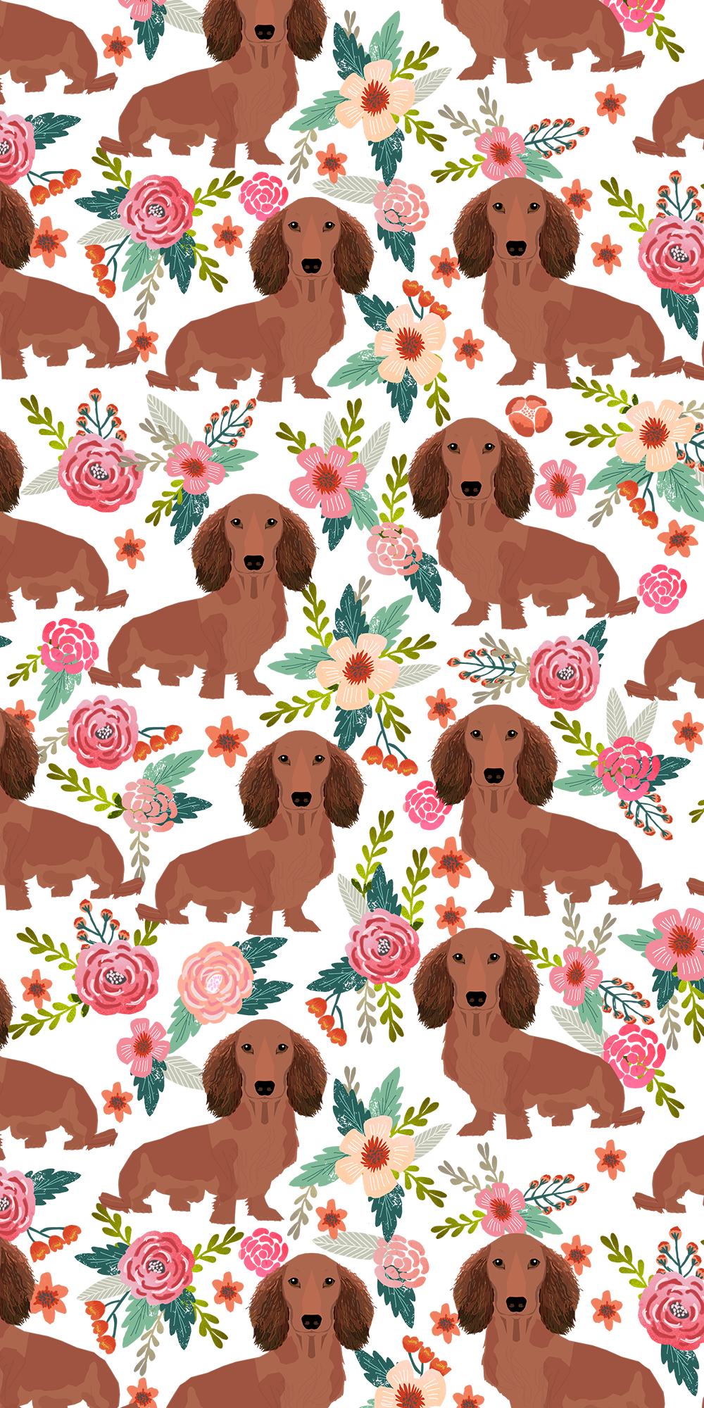 Detail Dachshund Wallpaper Iphone Nomer 4