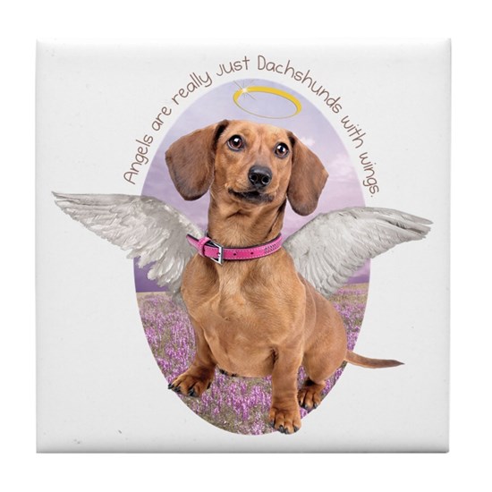 Detail Dachshund With Angel Wings Nomer 21