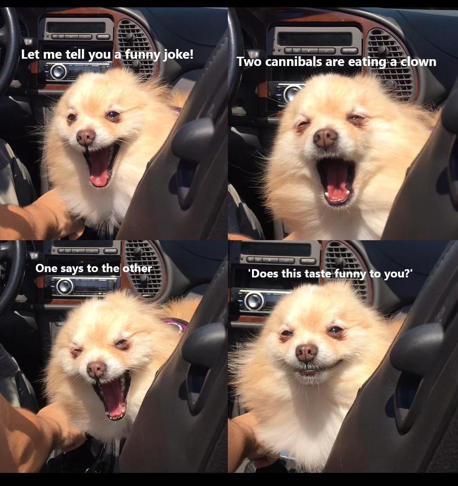 Detail Dad Joke Meme Nomer 33