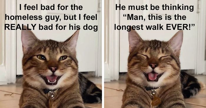 Detail Dad Joke Meme Nomer 51