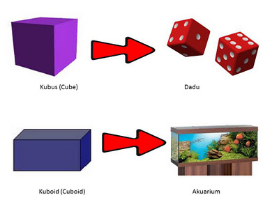 Detail Dadu 3 Dimensi Nomer 35