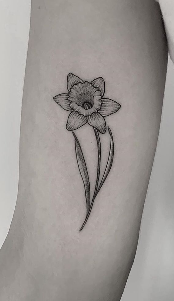 Detail Daffodil Drawing Tattoo Nomer 29