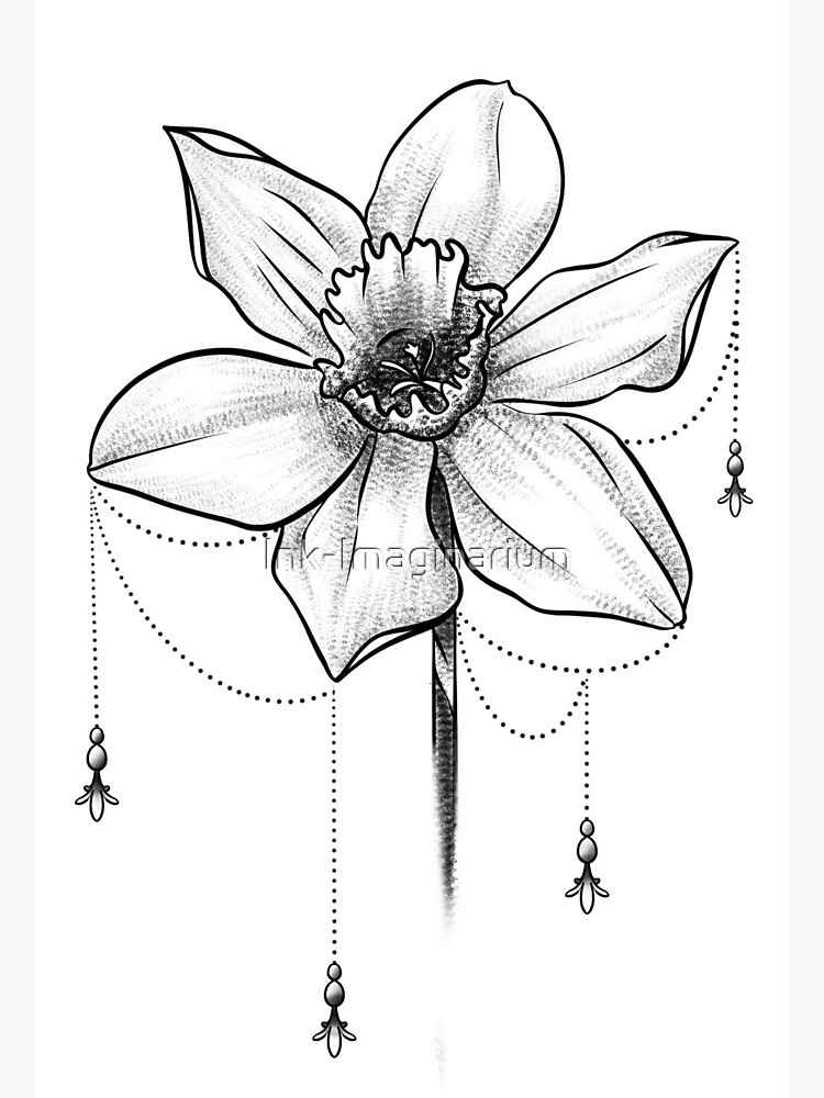 Detail Daffodil Drawing Tattoo Nomer 39