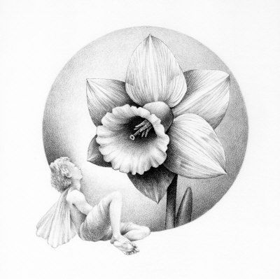 Detail Daffodil Drawing Tattoo Nomer 40