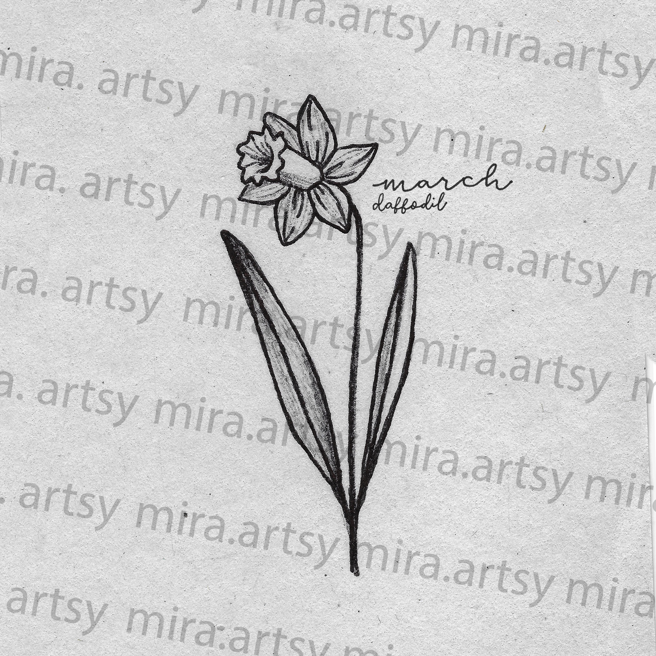 Detail Daffodil Drawing Tattoo Nomer 55