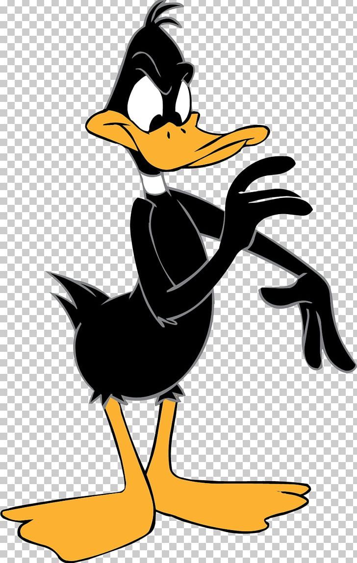 Detail Daffy Duck Images Free Nomer 10