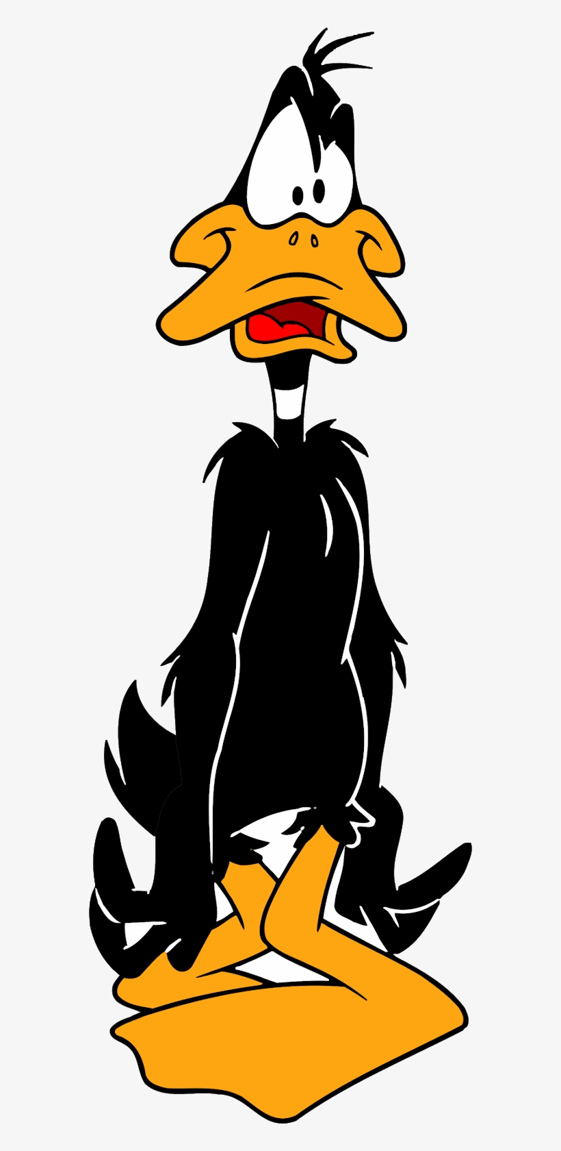 Detail Daffy Duck Png Nomer 16