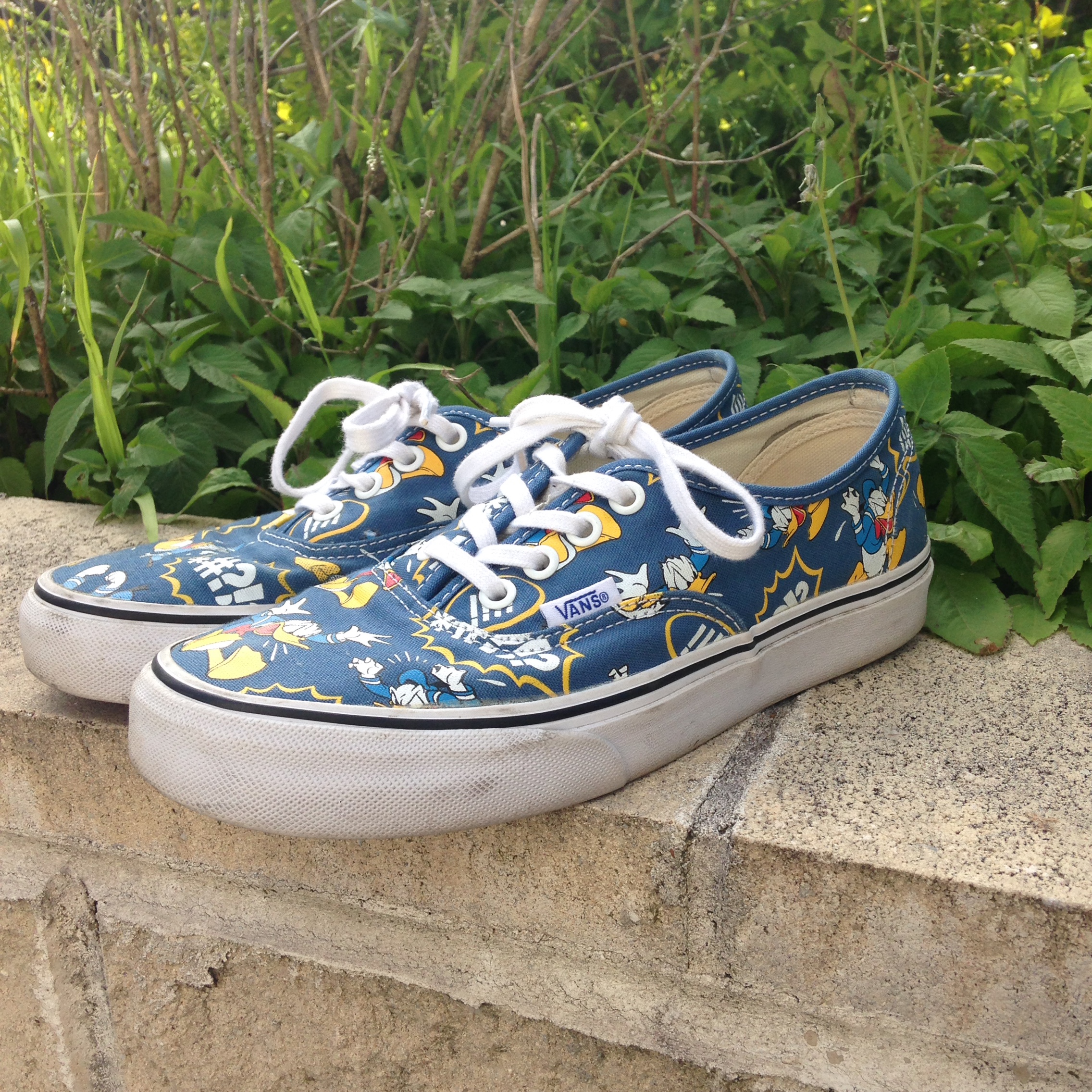 Detail Daffy Duck Vans Nomer 44