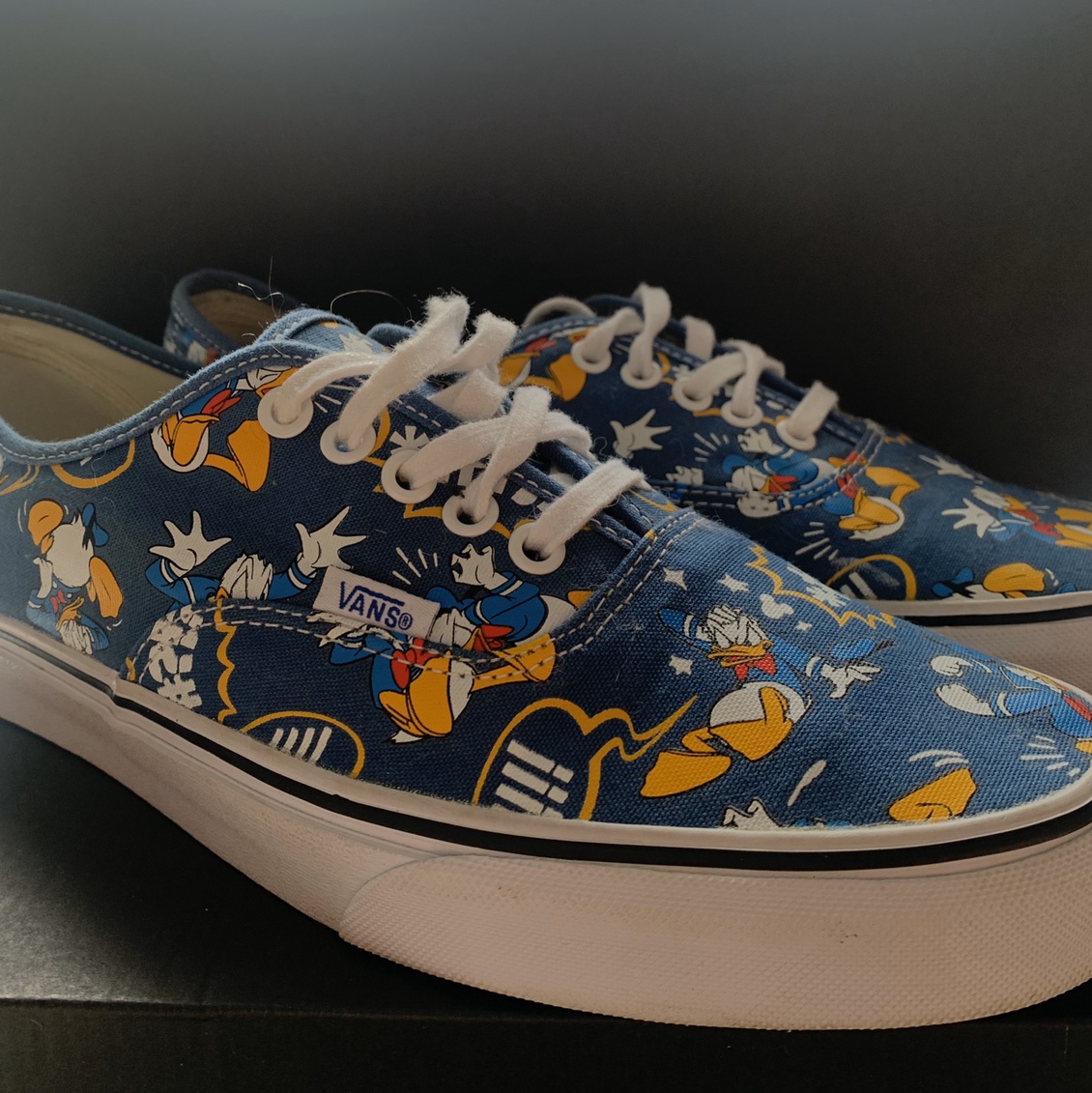 Detail Daffy Duck Vans Nomer 48