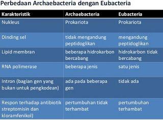 Detail Daftar Gambar Bercabang Nomer 2